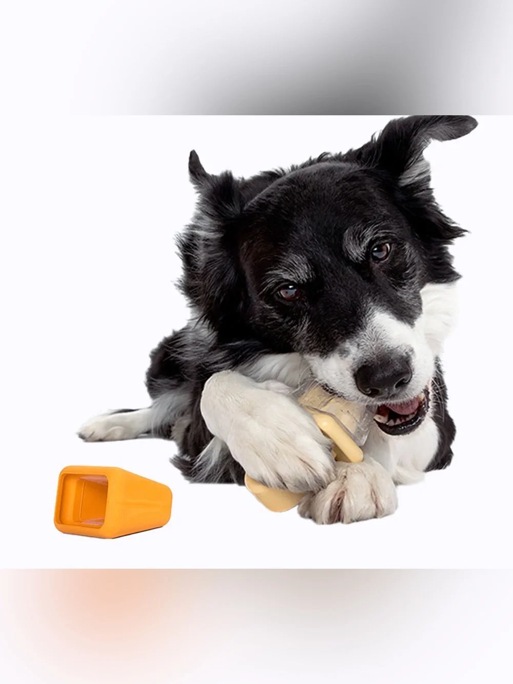 Bark Box Super Chewer Pupsicle dog Freezer Treat maker NEW M-L Tough Chewer kit